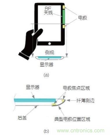 (a)側剖視圖描述;(b)電極焦點區域描述