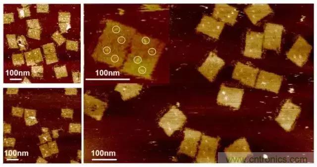 中美科學家聯手,用DNA納米機器人殺死癌細胞